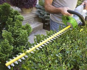 Best cordless hedge trimmer