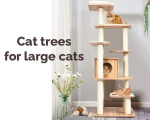 best cat trees for large cats featured image